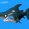 3D Cartoon Shark